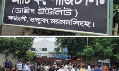 আইনের শাসন ও সঠিক জবাবদিহিতা নেই- ড. রাজু আহমেদ দিপু